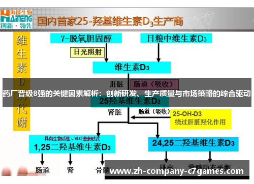 药厂晋级8强的关键因素解析：创新研发、生产质量与市场策略的综合驱动